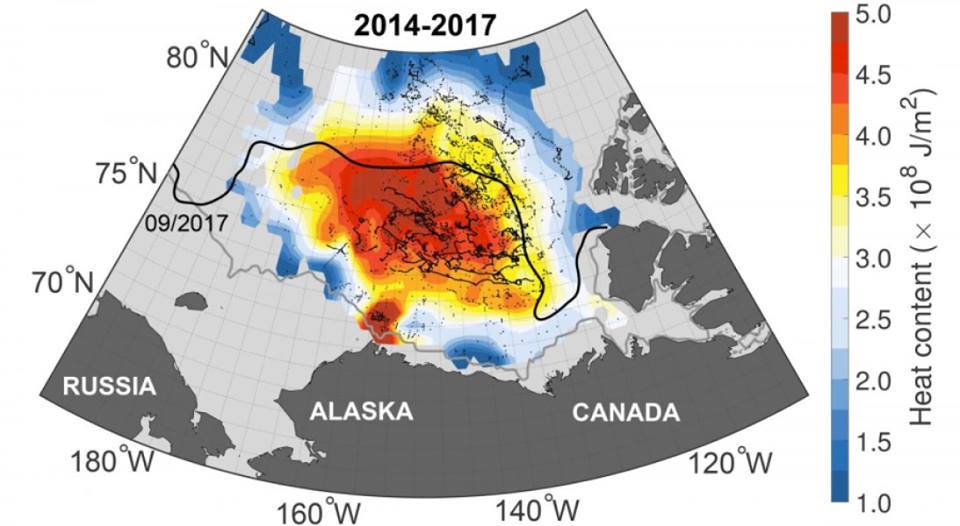 ArcticOceanHeat