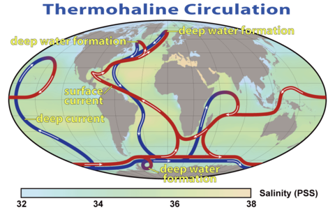 480px-Thermohaline_Circulation_2