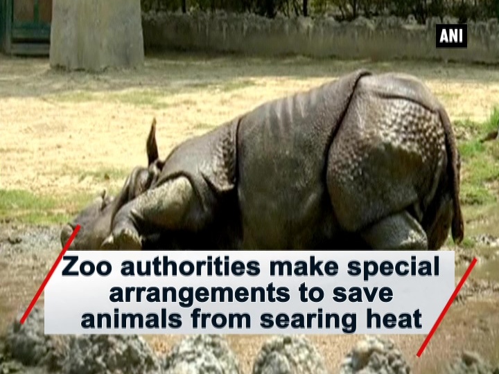 zoo-authorities-make-special-arrangements-to-save-animals-from-searing-heat-14922723627959_47322