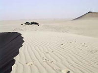 [The Vector] Sahara Could Export Electricity to Europe in 5 Years